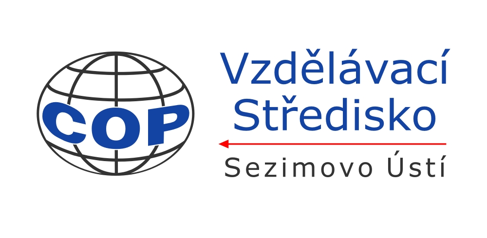 logo VS 02